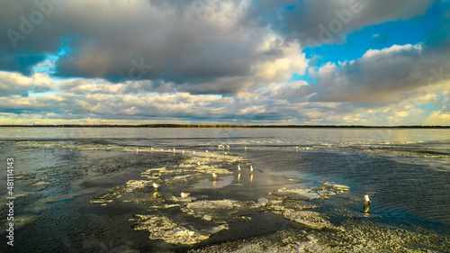 Aerial view of seagulls on a frozen lake