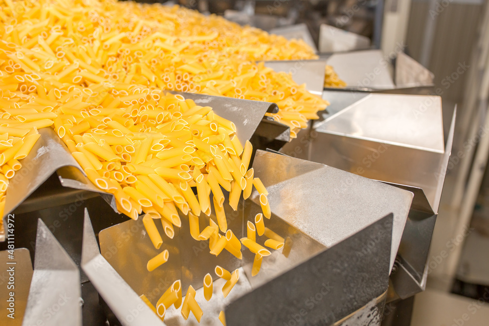 Pasta factory conveyor for pasta production of flour products