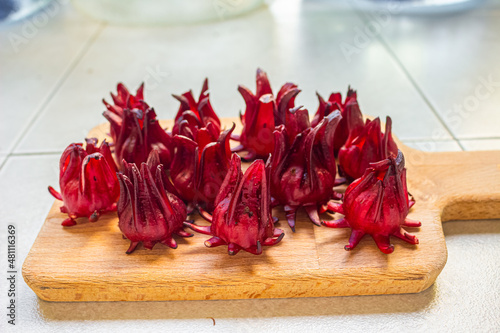 Roselle red subshrub plant (Hibiscus sabdariffa). Tropical flower, used to make infusion and juice photo