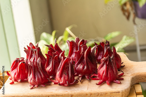 Roselle red subshrub plant (Hibiscus sabdariffa). Tropical flower, used to make infusion and juice photo