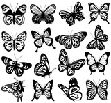 butterfly set, black silhouette, isolated vector