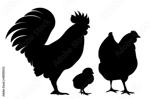 Obraz na plátně rooster, hen, chick, black silhouette, isolated vector
