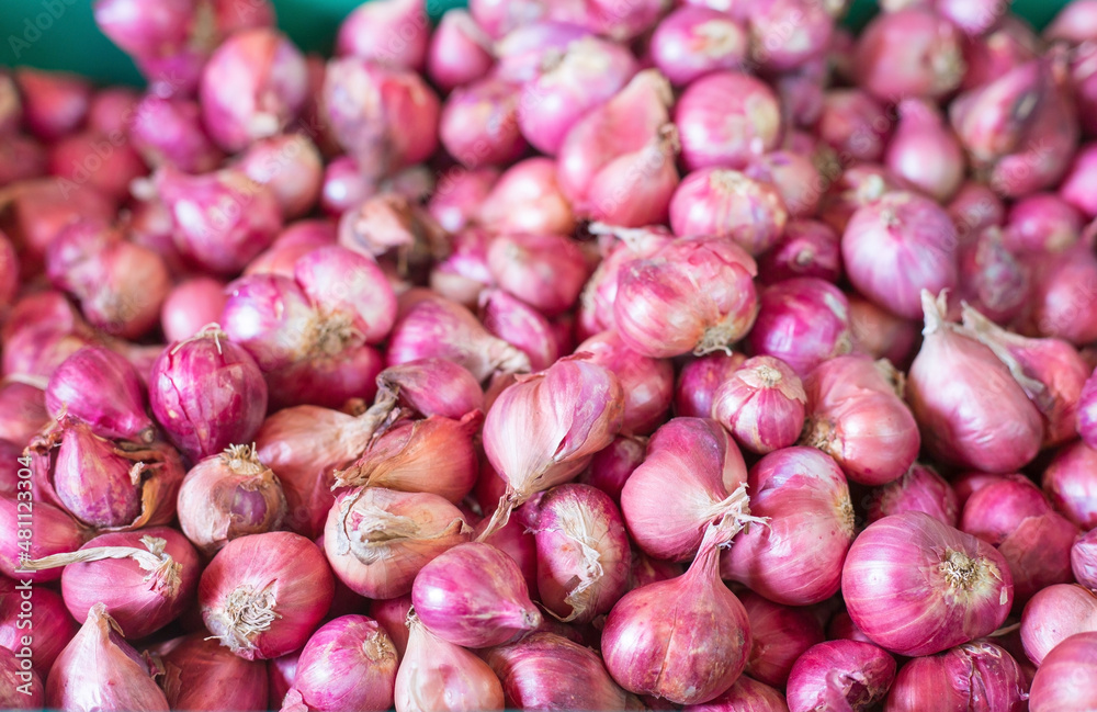 Shallot put together as a group in basket basket at the market, Fresh red onions background, shallots fresh purple in basket, Shallots close up ,Vegetables for health Shallots is herbal. Shallot put together as a group in basket basket at the market, Fresh red onions background, shallots fresh purple in basket, Shallots close up ,Vegetables for health Shallots is herbal.