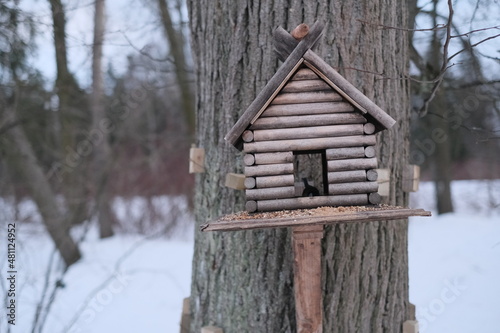 wooden bird house © Диана Акчурина