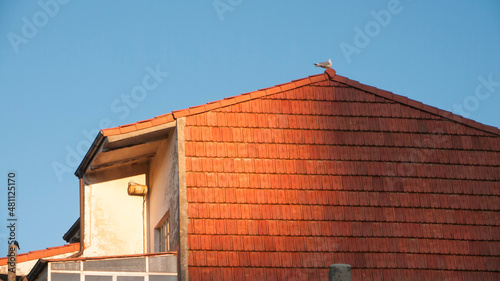 Gaviota encima de una casa con fachada de tejas