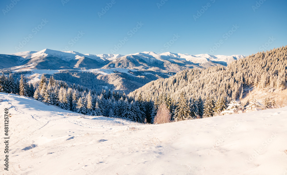 Fabulous image of snow-capped mountains after a heavy snowfall on frosty day.