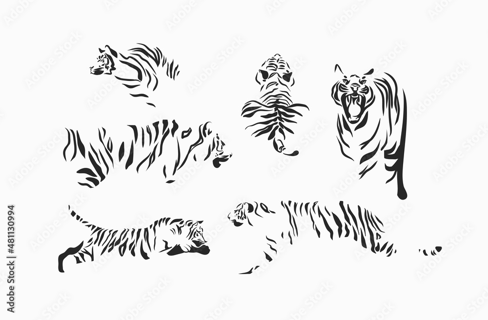 Hand drawn vector abstract stock graphic cartoon illustrations set with beauty cute trendy wildlife white,drawing tiger,black and white texture isolated on white background. Chinese New Year concept. Hand drawn vector abstract stock graphic cartoon illustrations set with beauty cute trendy wildlife white,drawing tiger,black and white texture isolated on white background. Chinese New Year concept.
