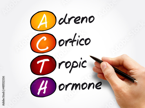 ACTH - Adrenocorticotropic hormone acronym, medical concept background photo