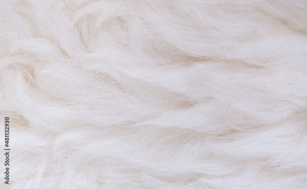 White animal fur. Weasel or cat hair. Fur clothes, white fur coat close up. White animal fur. Weasel or cat hair. Fur clothes, white fur coat close up.