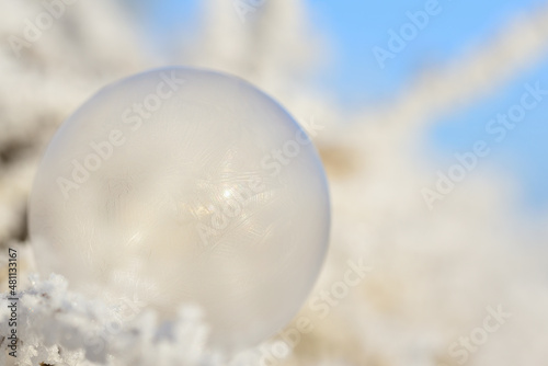 Close-up of a soap bubble slowly freezing and hanging on frosty branches in winter, with space for text, outdoors