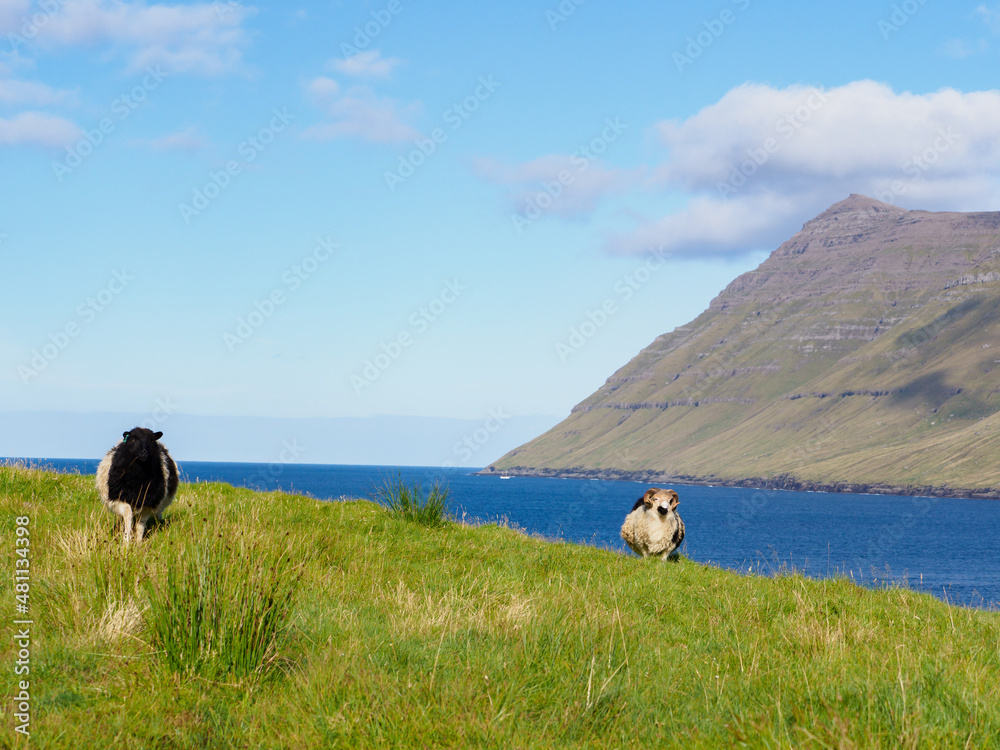 Obraz premium Faroe Island