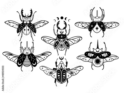 Set of stylized magic beetle. Collection of flying mythical insects scarab, stag beetle, etc. Celestial beetle with skull death. Vector illustration of flying beetles with mystic sign. Linear art.