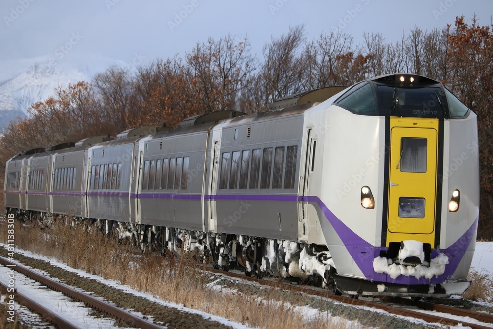 Fototapeta premium train on railway