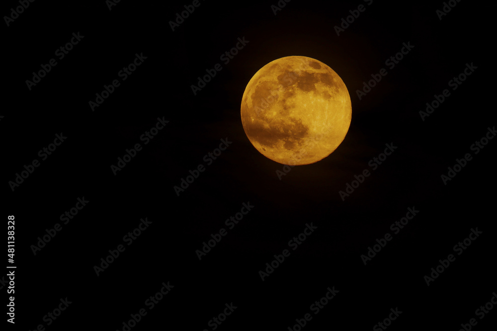 Obraz premium Full moon in the night sky, Colourful orange Wolf Moon with back ground space, isolated 2022