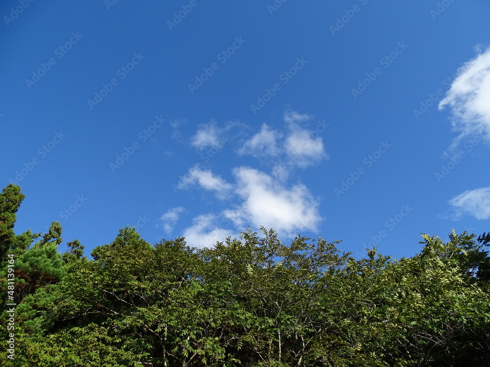 里山 里山