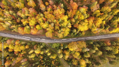 autumn mountain road