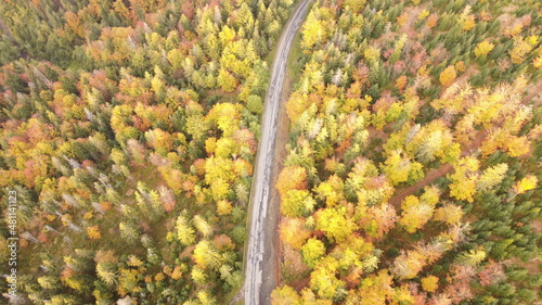 autumn mountain road