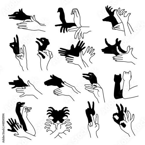 Hands shadow. Theatrical gestures hands puppets creative poses from human fingers different animals birds rabbit bear recent vector illustrations