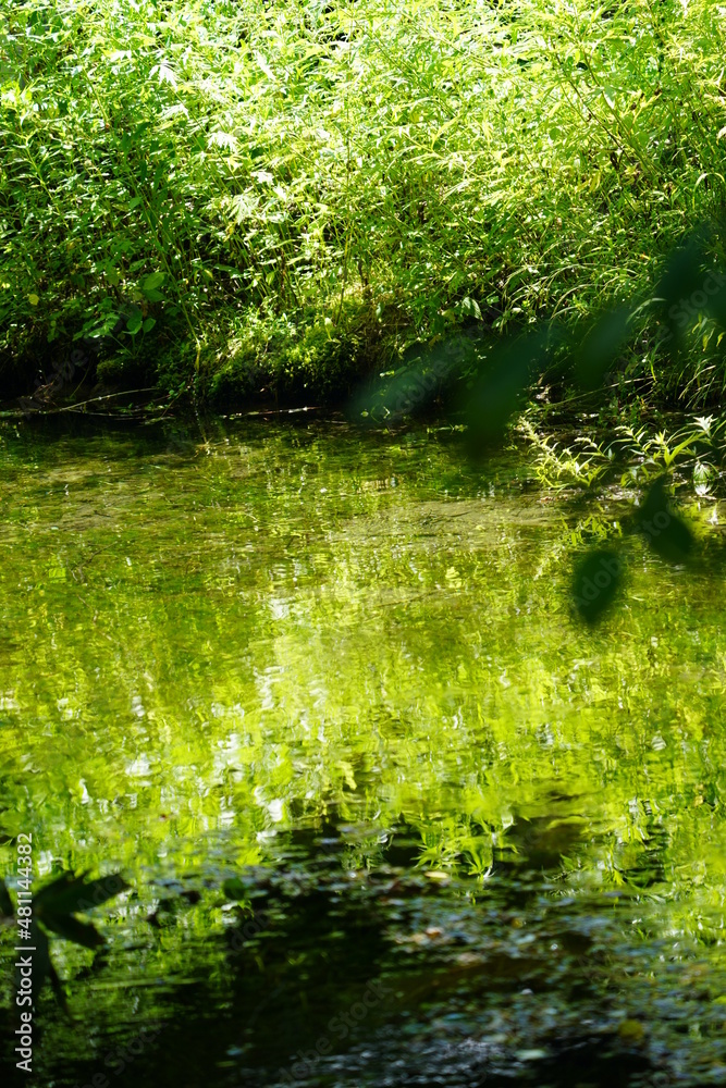 Obraz premium 水景