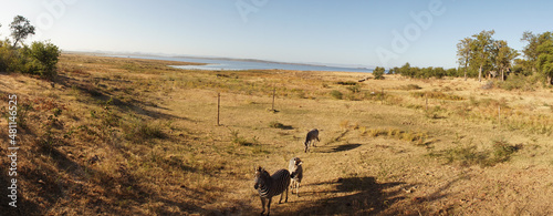 Wallpaper Mural Safari camp near Binga at Lake Kariba between Zambia and Zimbabwe. Torontodigital.ca