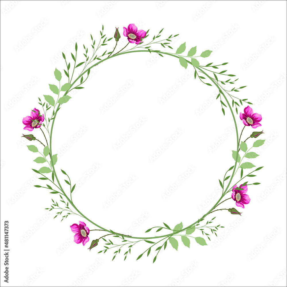 frame with flowers frame with flowers