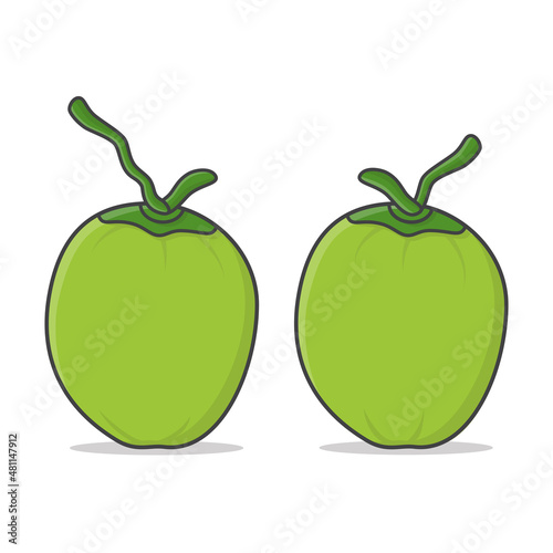 Two Green Coconuts Vector Icon Illustration. Fresh Young Coconuts Icon