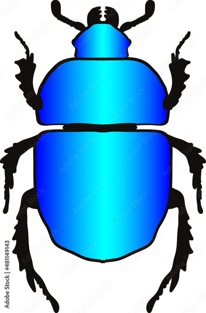 colored silhouette of a beetle on a white background
