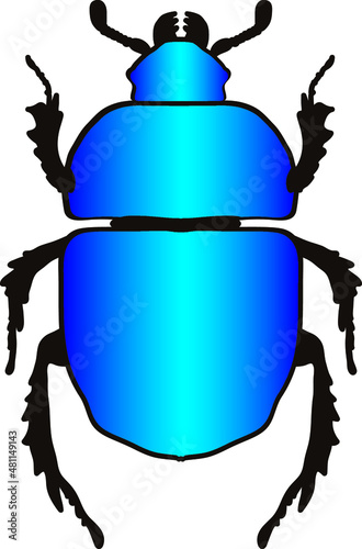 colored silhouette of a beetle on a white background
