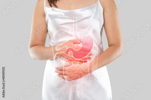 internal organs of the human body. photo