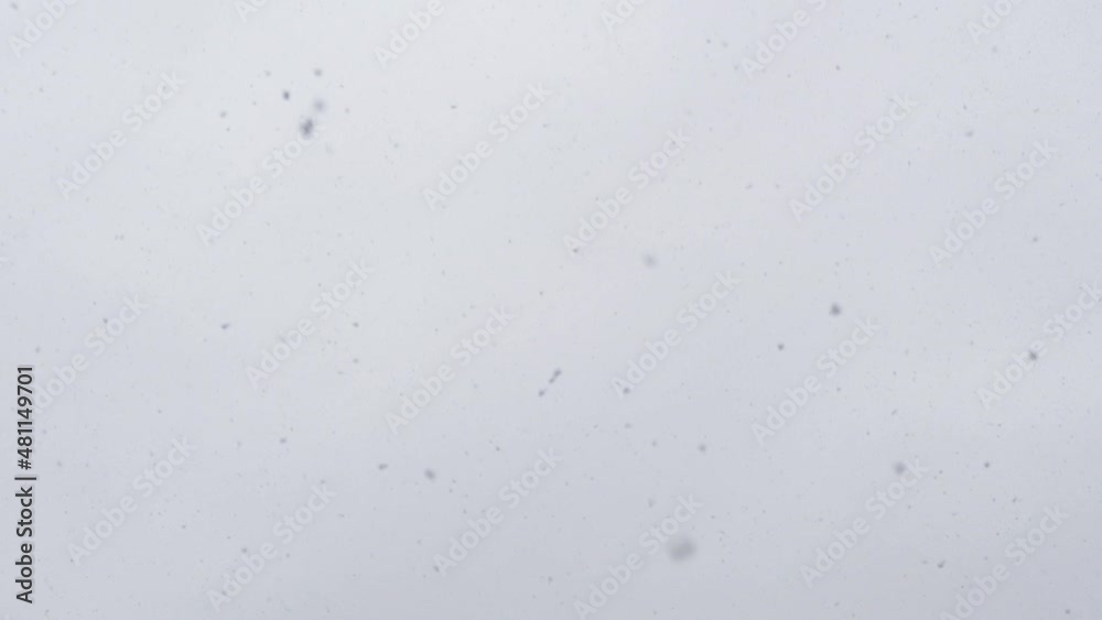 Real Snow Falling in Slow Motion, Loopable. Real Snow Falling in Slow Motion, Loopable.