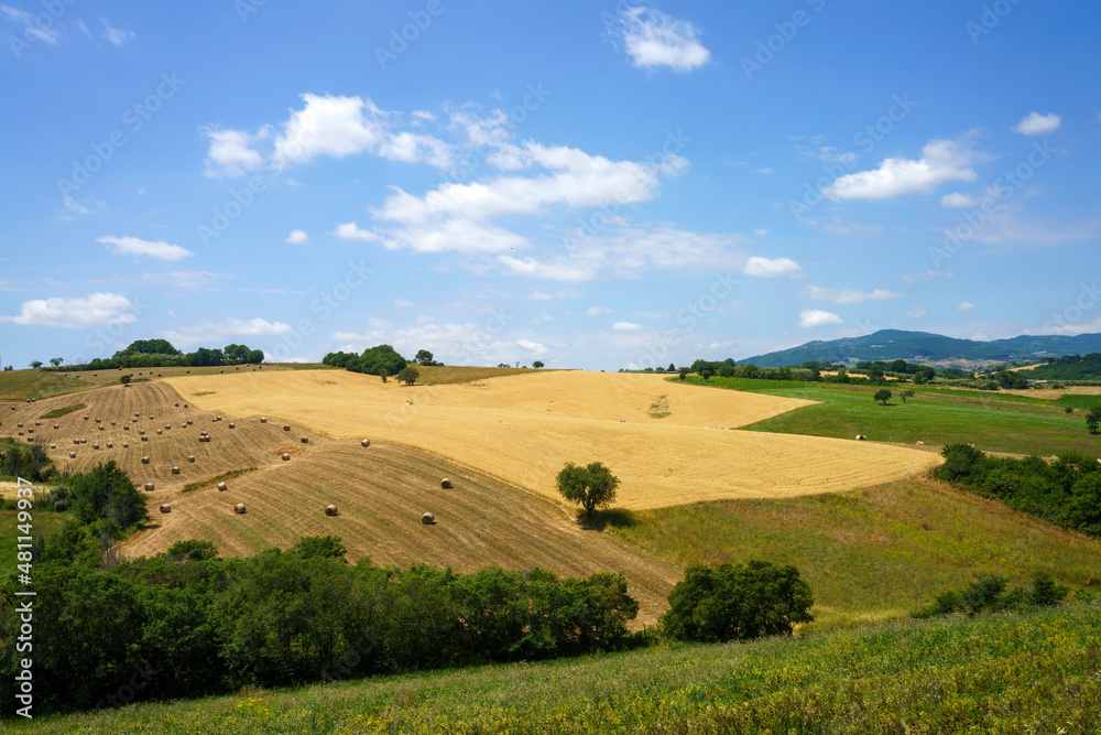 Fototapeta premium Landscape in Campobasso province, Molise, Italy