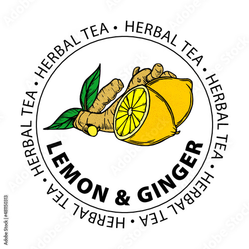 Label herbal tea. Stamp tea lemon with ginger. Lemon & ginger hand drawn illustration. Label. Vector illustration. Color vector illustration