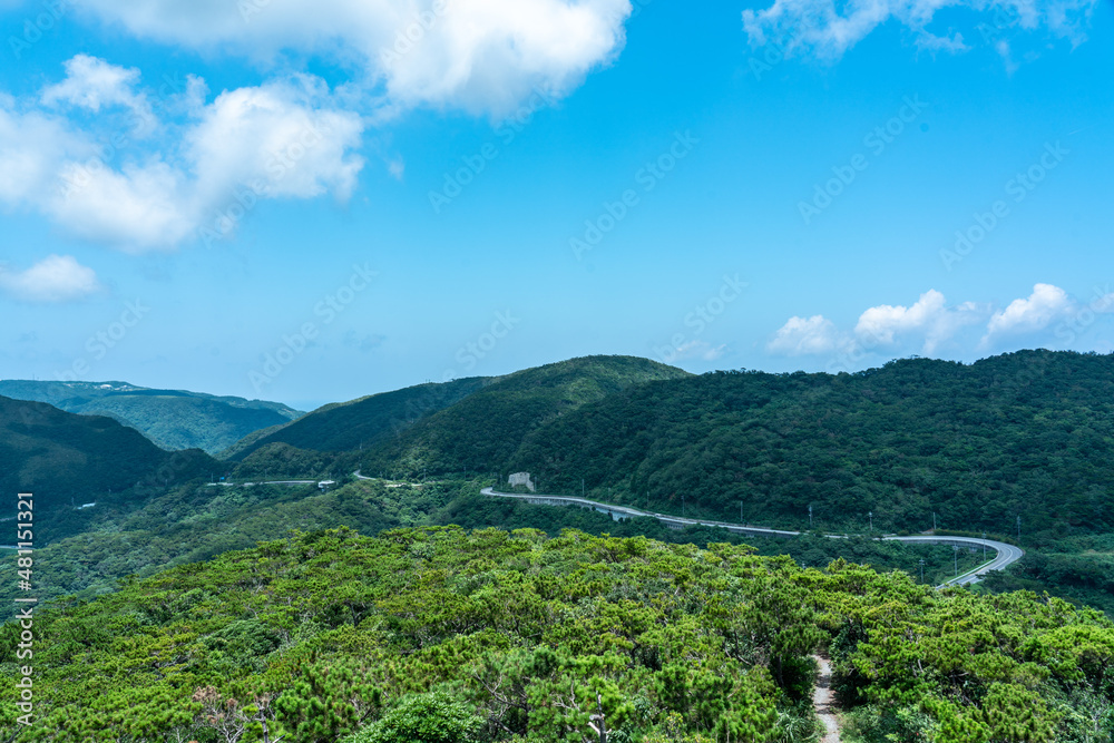 Fototapeta premium 渡嘉敷島