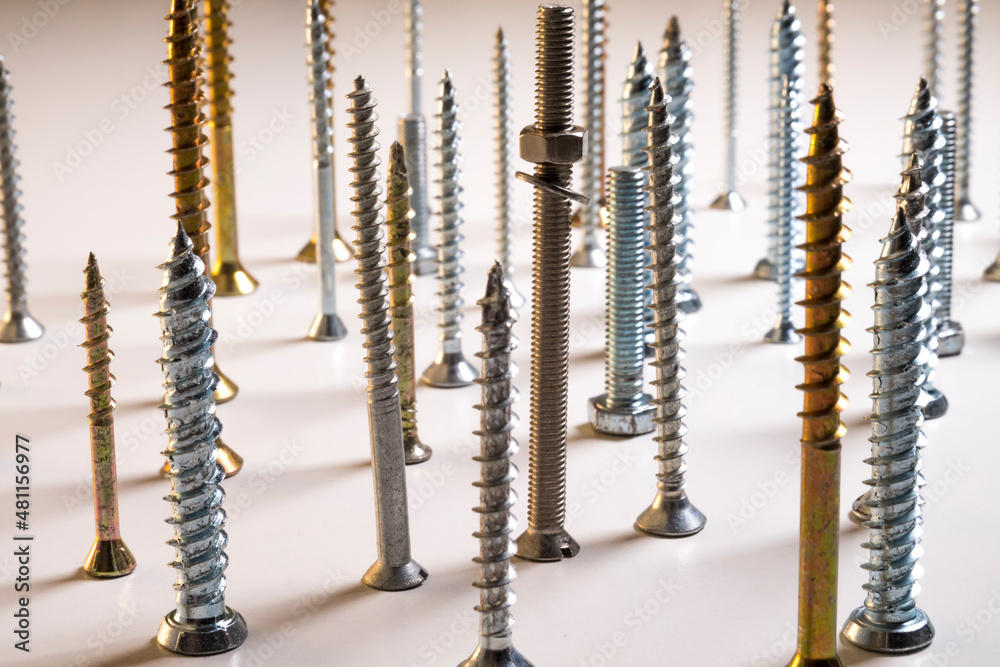 A variety of screws standing on their heads. A variety of screws standing on their heads.