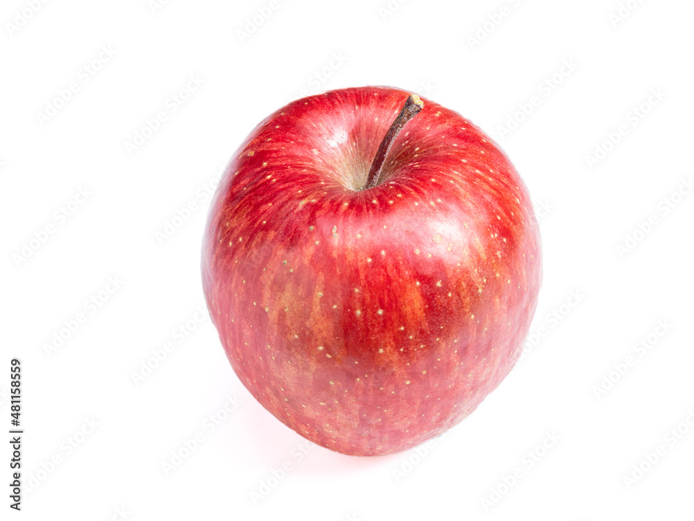 【果物】赤い林檎
