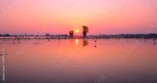 Morning vanilla sky with sunrise reflection on the red lotus lagoon at Nakhon Sawan province unseen Thailand. View from the long-trail boat passing through the red lotus lake with real sound. photo