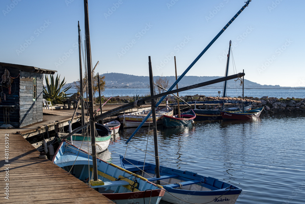 marseillan étang de thau 