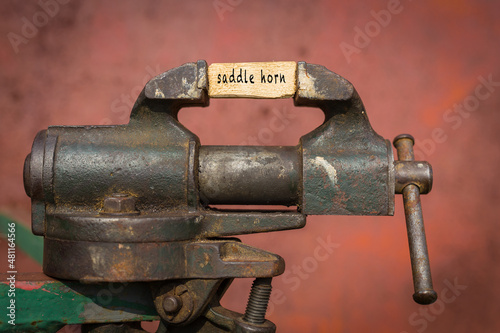 Vice grip tool squeezing a plank with the word saddle horn photo