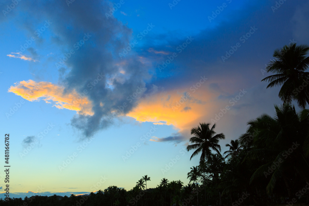 Clouds sky with coconut palm trees. Travel background.