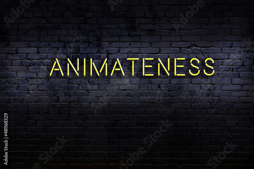 Night view of neon sign on brick wall with inscription animateness photo