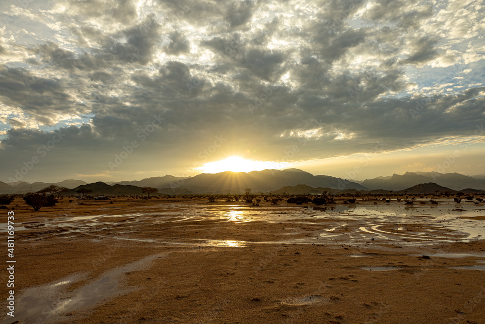 Fototapeta premium sunset's view 