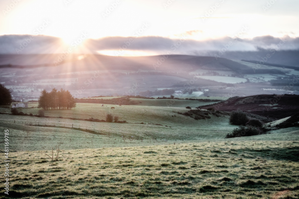 Fototapeta premium Rolling Hills at Sunrise, Ireland.
