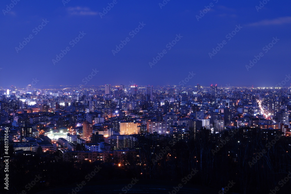 Obraz premium 旭山記念公園から見た札幌の夜景