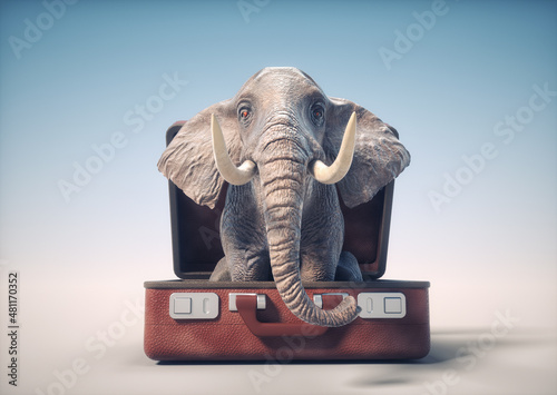 Elephant inside a opened baggage.