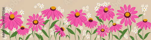 Fototapeta Naklejka Na Ścianę i Meble -  Horizontal seamless pattern with echinacea flowers and white flowers. Design for frames or borders. Botanical vector illustration in flat style.