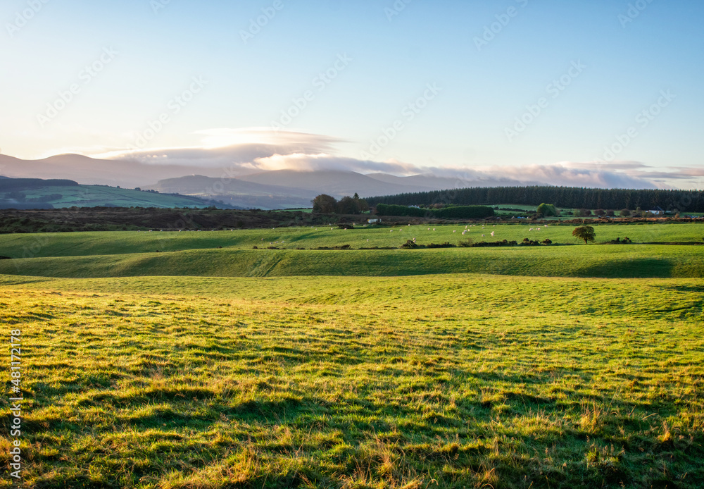 Naklejka premium Rolling Hills at Sunrise, Ireland.