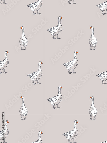 GOOSE