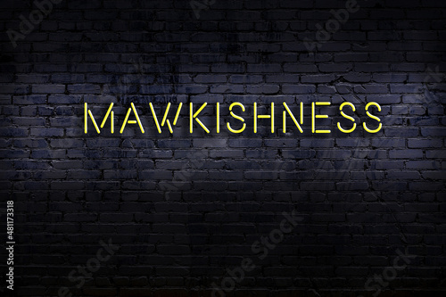 Night view of neon sign on brick wall with inscription mawkishness photo