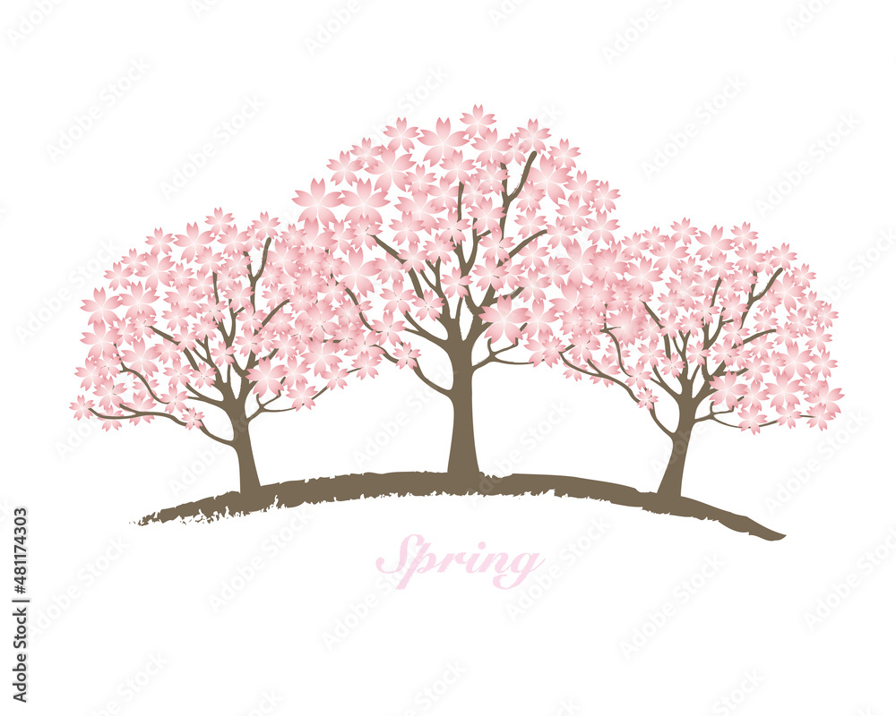 満開の桜の木イラスト