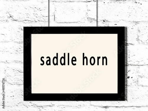 Black frame hanging on white brick wall with inscription saddle horn photo